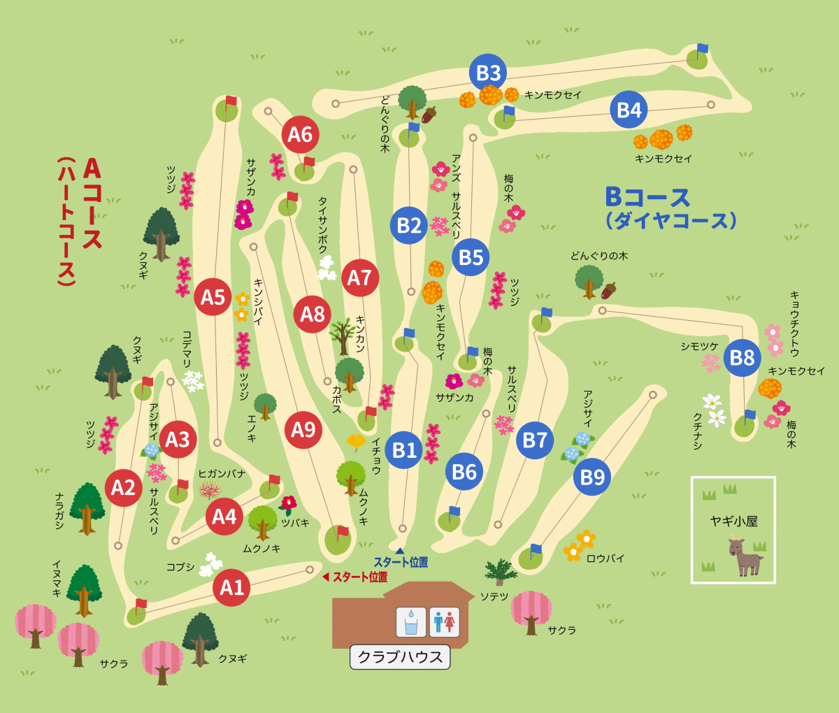 コース